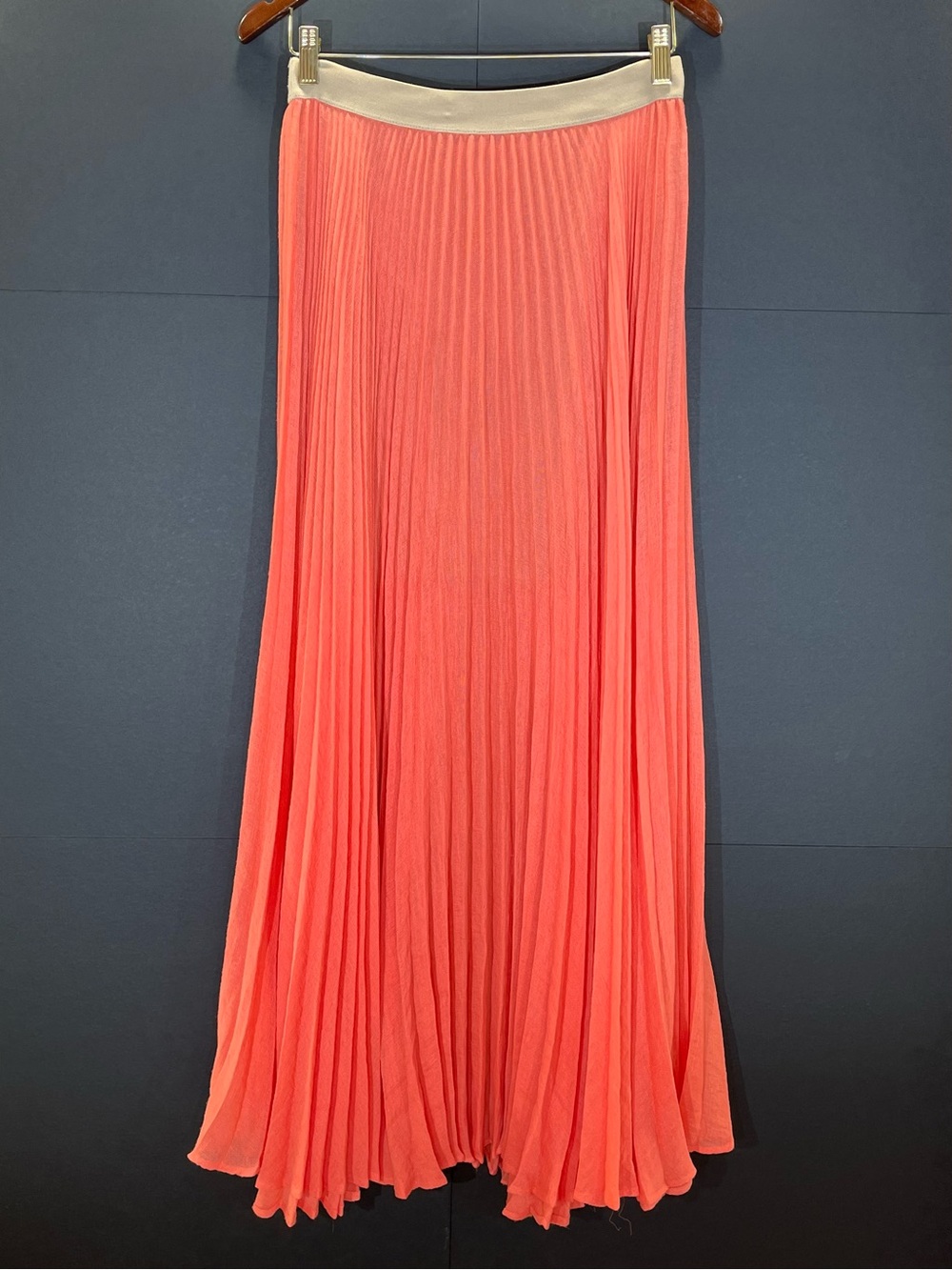 BCBGMaxAzria Coral Gauze Pleated Maxi Skirt with Tan Stretch-Waist (fits larger)